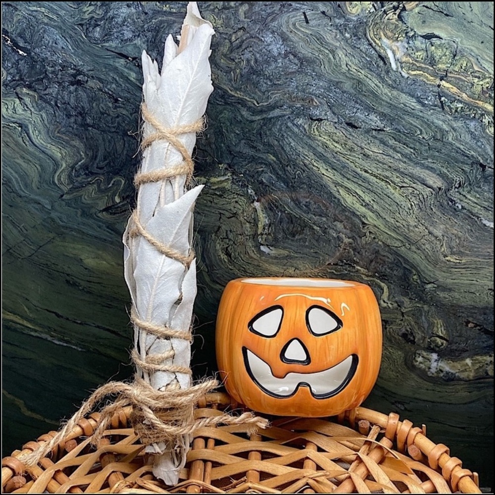 Harry and David Pumpkin and Sage Stick Gift Set New